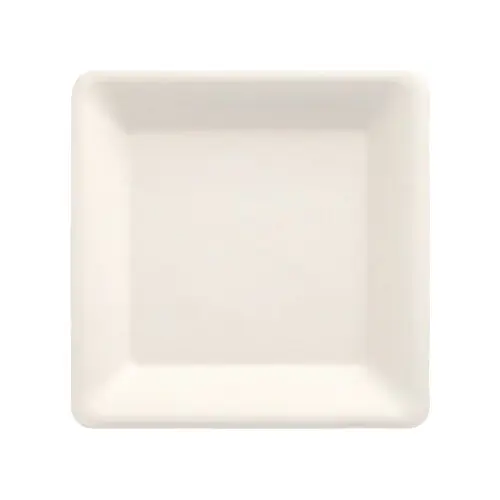 PAPSTAR Teller Zuckerrohr "pure" eckig 15,5 x 15,5 cm weiß, stabiler quadratischer Einwegteller aus Bagasse, 12 x 12 Stück