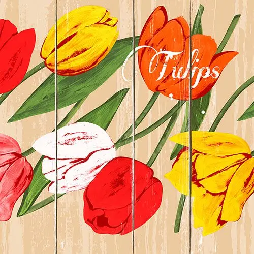 PAPSTAR 100 Servietten, 3-lagig 1/4-Falz 33 cm x 33 cm "Blooming Tulips"