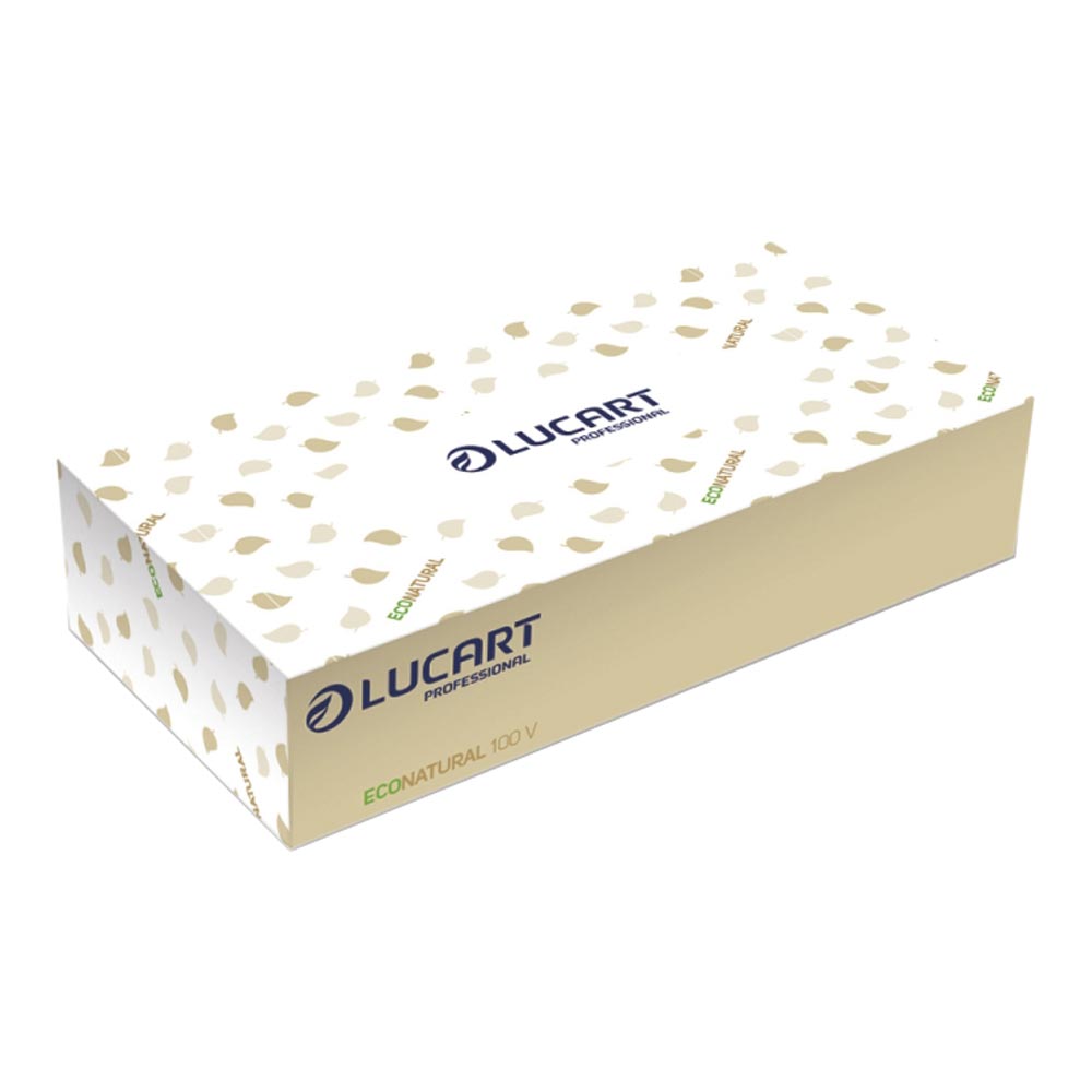Lucart EcoNatural 100 V Kosmetiktücher in der Spenderbox 2-lagig, Recycling