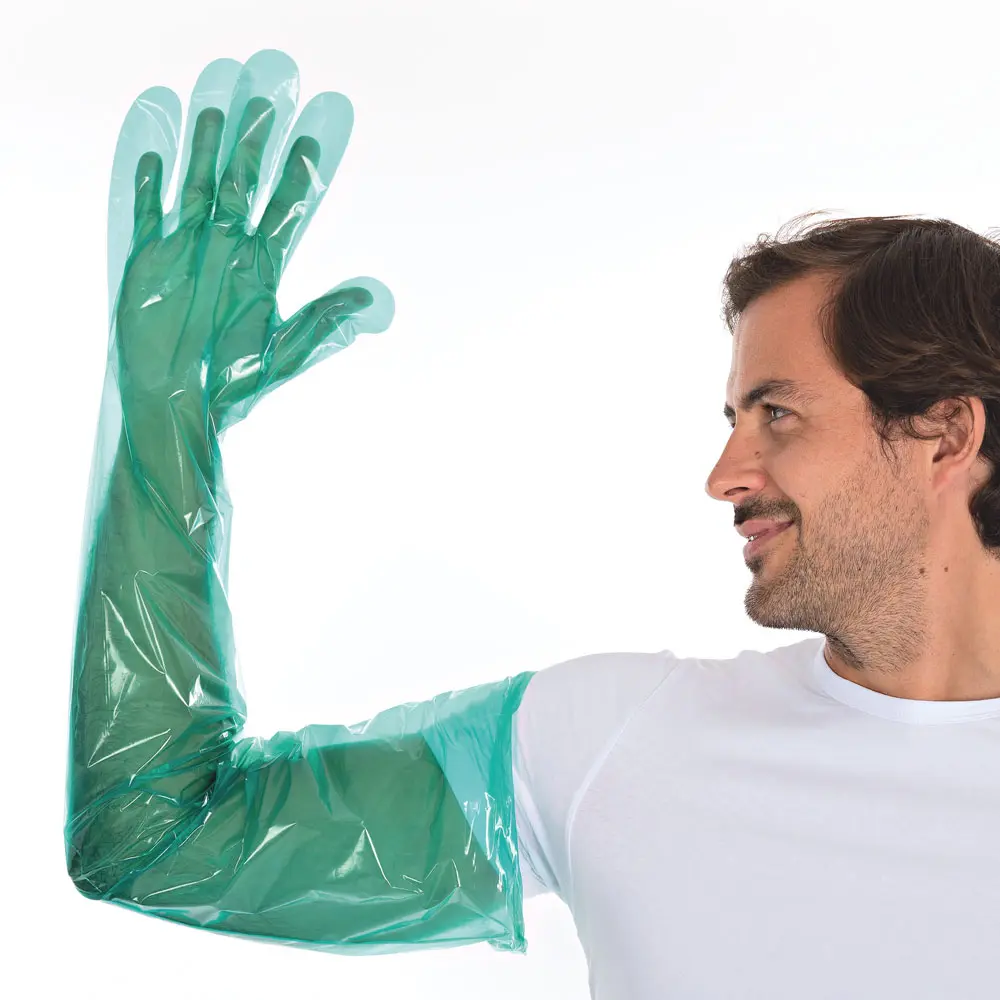 Hygostar Softline Long LDPE-Handschuhe, grüne, extra lange puderfreie Einweg-Handschuhe aus LDPE für hygienischen Schutz von Hand und Arm, VE 2000 Stück, Art.-Nr. 2649