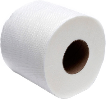 Toilettenpapier 2-lagig 250 Blatt