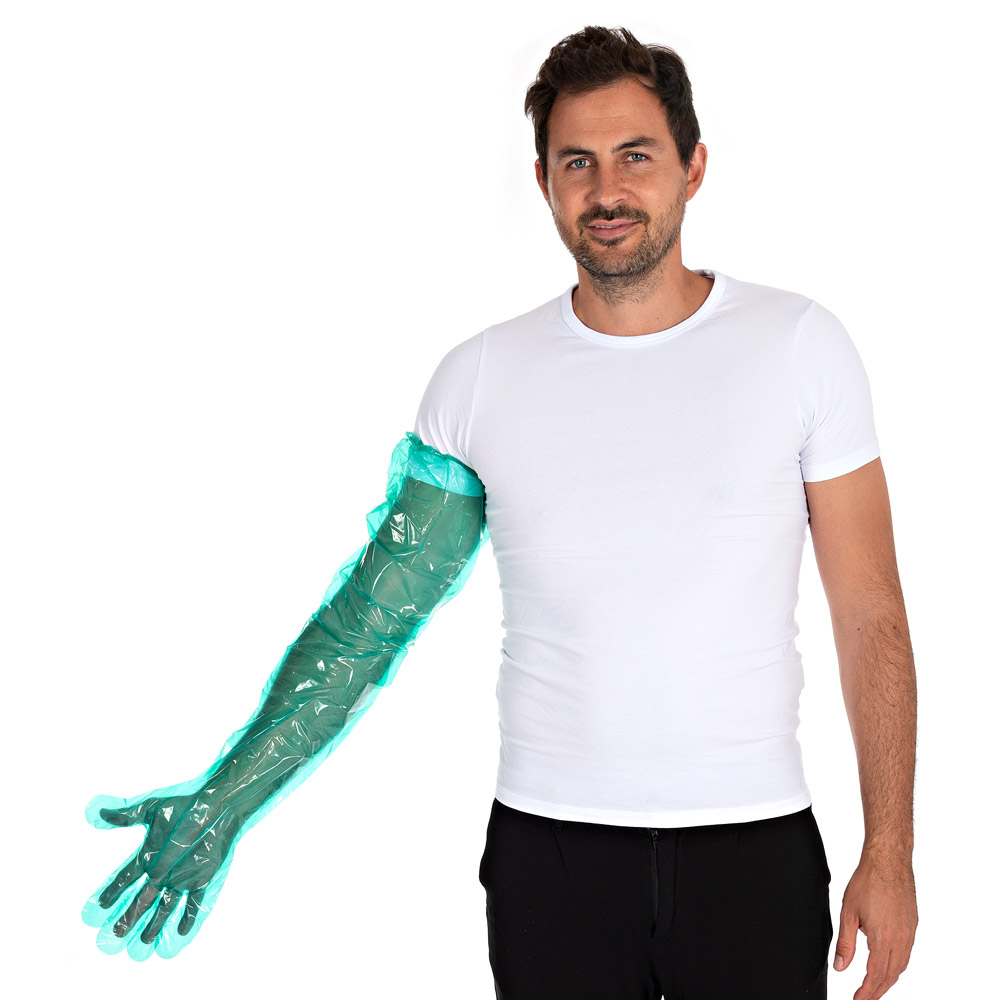 Hygostar Softline Long Plus LDPE-Handschuhe grün, VE 2000 Stück
