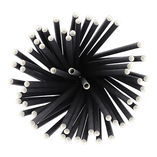 PAPSTAR Shake-Halme Papier Ø 8 mm, 25 cm schwarz