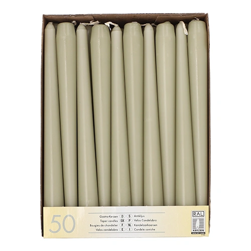 Starpak Leuchterkerzen Ø 2,2 cm, 25 cm farngrün, 2 x 50 Stück
