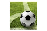 Fußball weiß-schwarz auf Rasen mit Linien, ideal für Training und Freizeit, Artikelnummer 106162