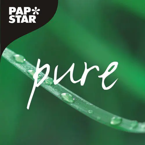 PAPSTAR Messer Holz "pure" 16,5 cm, 500 Stück aus naturbelassenem Birkenholz, splitterfrei poliert und stabil, Artikel 86939