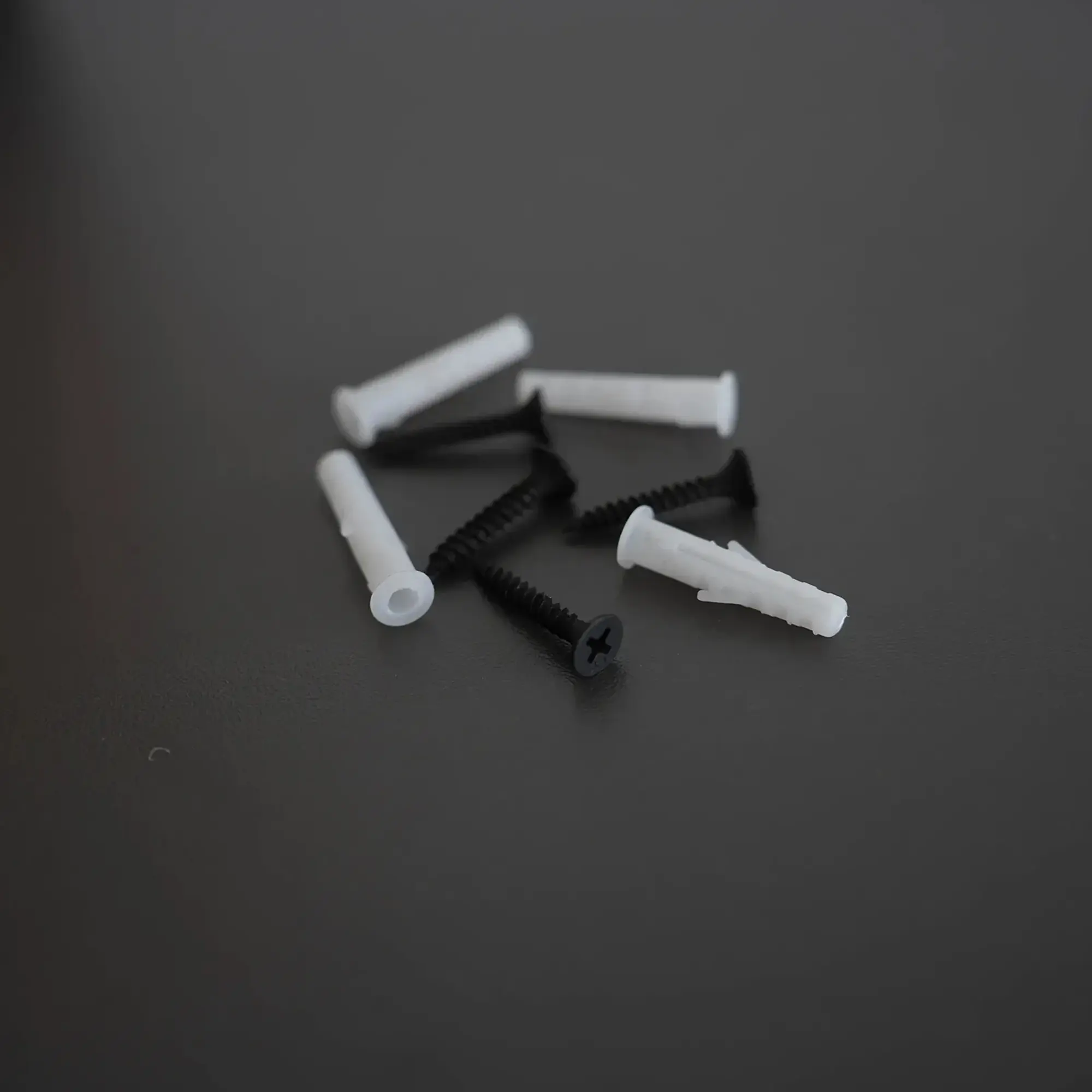 SEMYtop Toilettenpapierspender für 2 Rollen, Montageset mit schwarzen Schrauben und weißen Dübeln für die Wandbefestigung