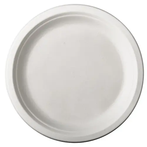 PAPSTAR Teller, Zuckerrohr "pure" ungeteilt Ø 26 cm, weißer runder Einweg-Teller aus Bagasse, stabil, kompostierbar, 100 Stück, Art.-Nr. 89423