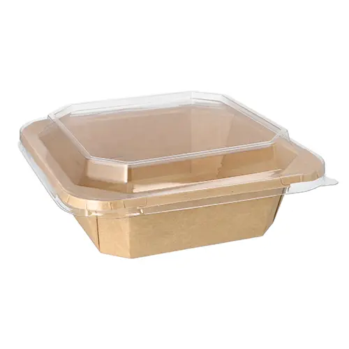 Starpak Lunchboxen, Pappe eckig 1000 ml 5,2 cm x 18 cm x 18 cm braun