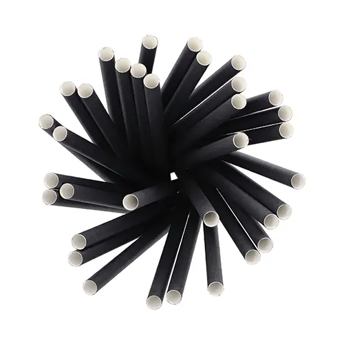 PAPSTAR Shake-Halme Papier Ø 10 mm, 21 cm schwarz