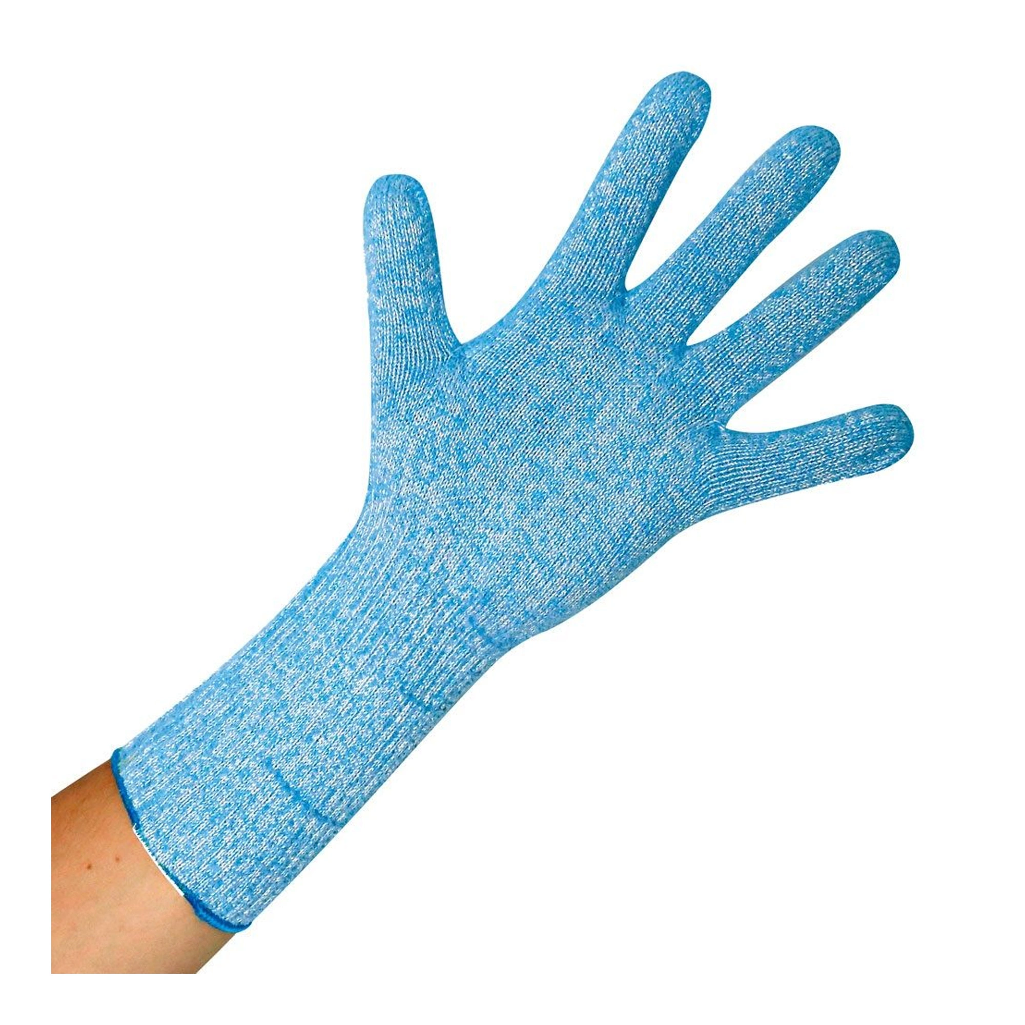 Hygostar CUTGUARD thermo Kälteschutzhandschuhe blau