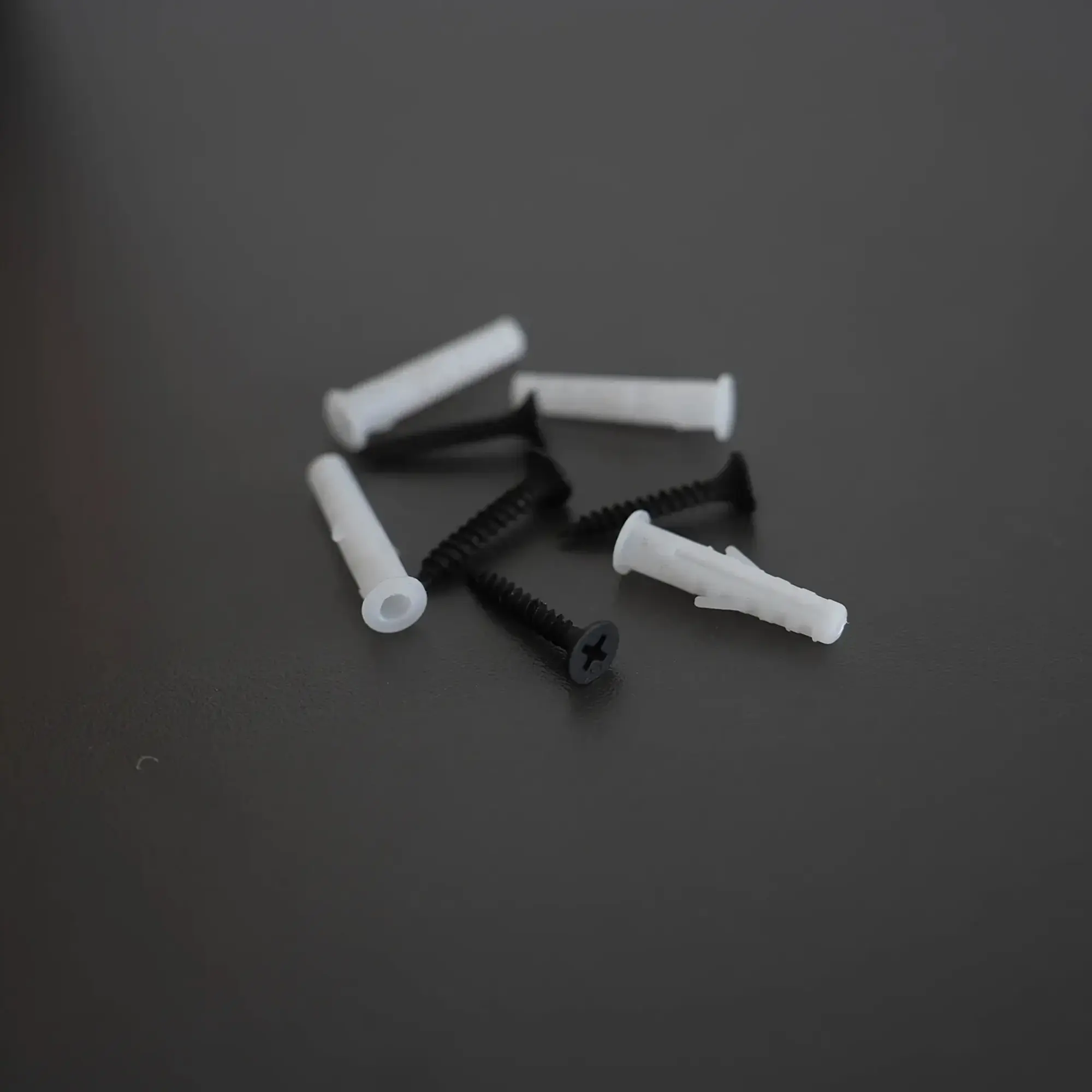 SEMYtop Toilettenpapierspender für 2 Rollen – mitgelieferte schwarze Schrauben und weiße Dübel zur Wandmontage, Hygiene-Shop.com