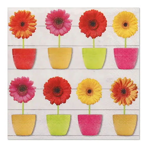 PAPSTAR Servietten, 3-lagig 1/4-Falz 33x33 cm Glowing Gerberas mit farbenfrohen Gerbera-Blüten in Töpfen, FSC-zertifiziert, Artikel 89057