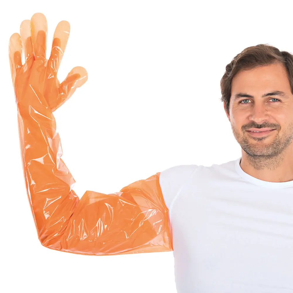 Hygostar Softline Long LDPE-Handschuhe, langer puderfreier Einmalhandschuh aus schwerem LDPE in Orange für Arm- und Handschutz in Reinigung, Gastronomie, Tierpflege sowie Alten- und Krankenpflege, VE 2000 Stück