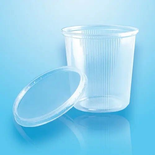 PAPSTAR Pro Pac Verpackungsbecher mit Deckel, transparenter PP-Rundbecher 500 ml Ø 10,5 cm, 10,4 cm hoch, ideal für Salate, Delikatessen und Antipasti, Karton 250 Stück