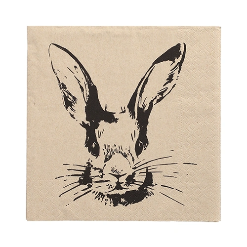 PAPSTAR Servietten, 3-lagig 1/4-Falz 33 cm x 33 cm natur "My Name is Rabbit" aus recyceltem Papier, 15 x 20 Stück
